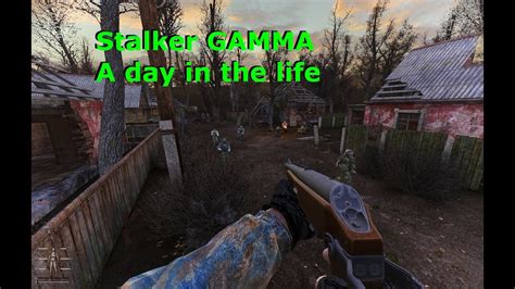 s.t.a.l.k.e.r. : gamma